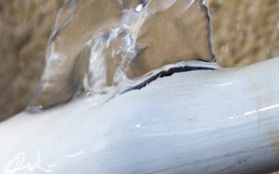 Preparing Your Home’s Plumbing System For Fall & Winter 2025