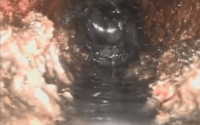 Signs of a Sewer Line Clog